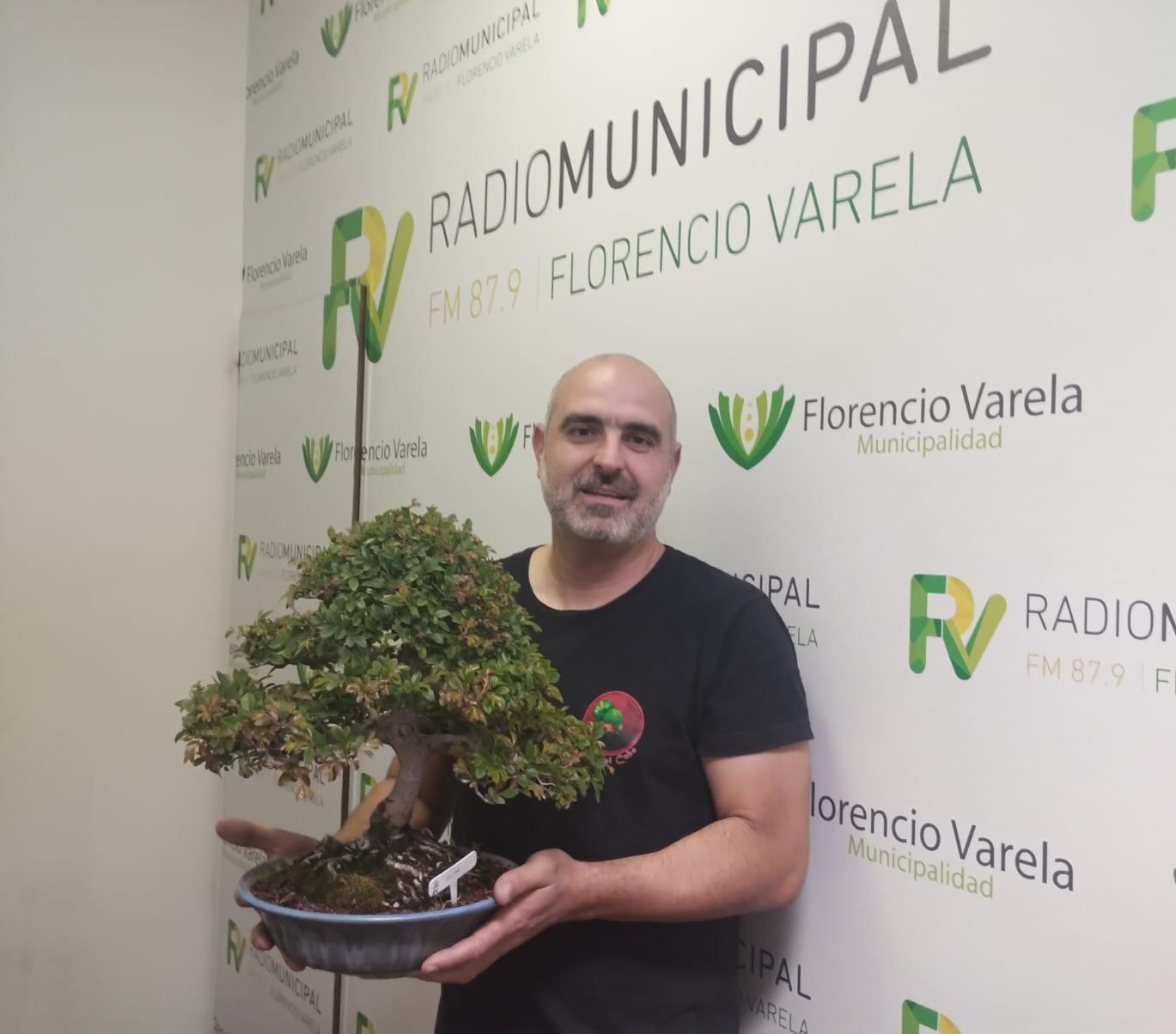 “Bonsai al Cubo”: un emprendimiento que participó de la Fiesta de la Frutilla