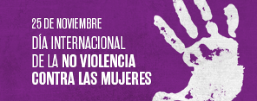 25N: Día Internacional de la Eliminación de la Violencia Contra las Mujeres