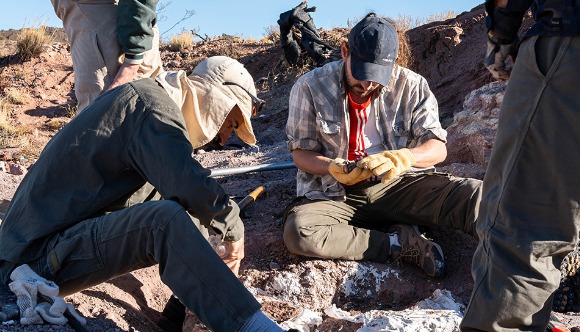 CONICET: Descubren nuevos restos de dinosaurios acorazados de 120 millones de años en Neuquén