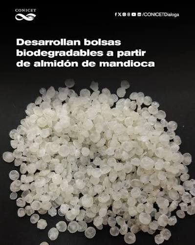 Científicas argentinas crean plástico biodegradable con almidón de mandioca