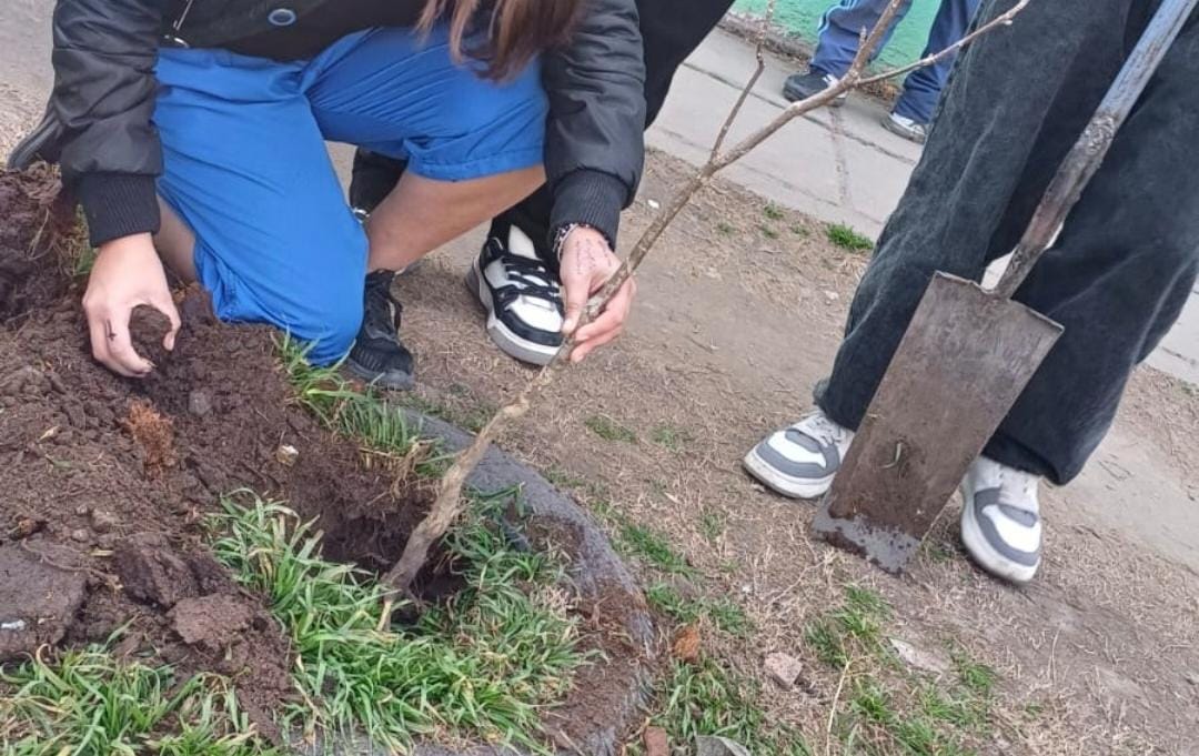 Impulso Productivo I Programa de forestación en la Escuela Secundaria Nº17